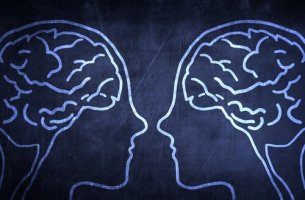 two brains