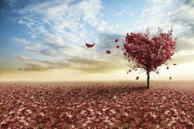 3 Reflections on Love by Erich Fromm