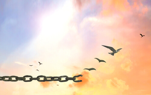 birds flying away from chain