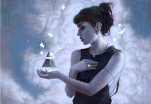 Selective Abstraction: Maximizing the Negative and Minimizing the Positive