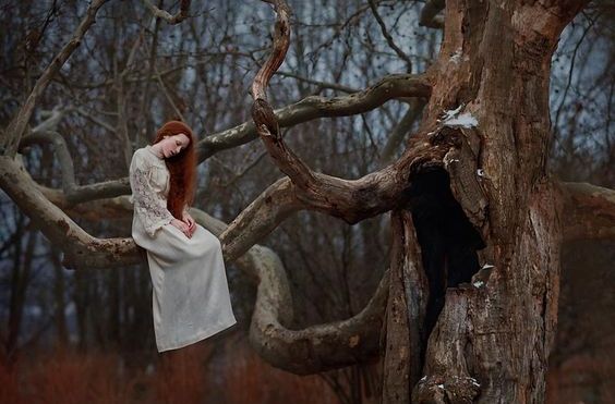 woman in tree