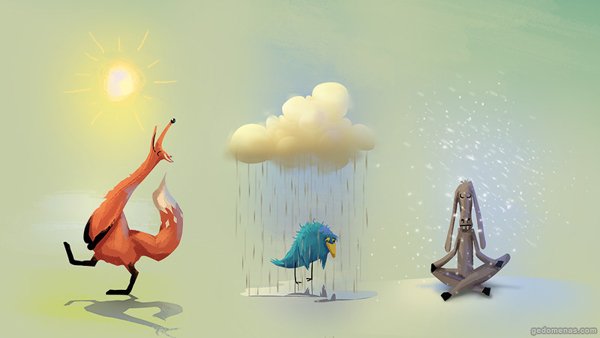 animals and weather