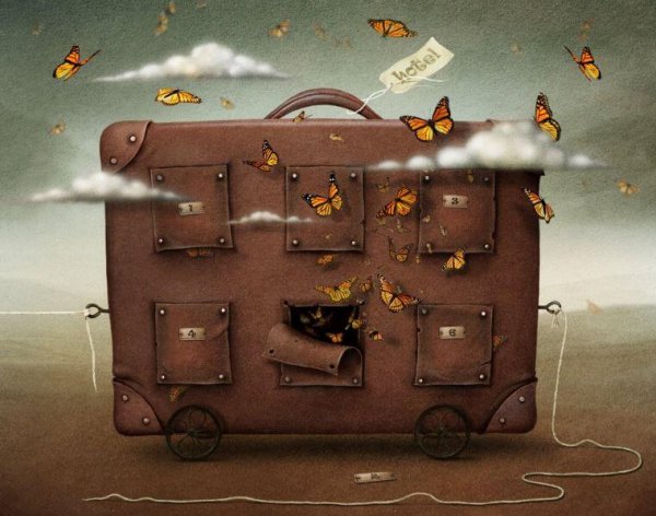 butterflies coming out of suitcase