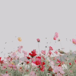 Flowers in Wind