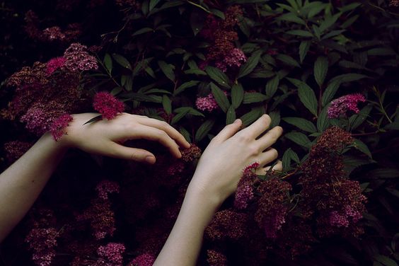 hands on flowers