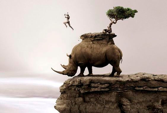 man jumping off rhino