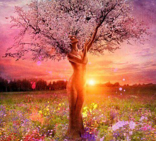 Woman Tree Flowering