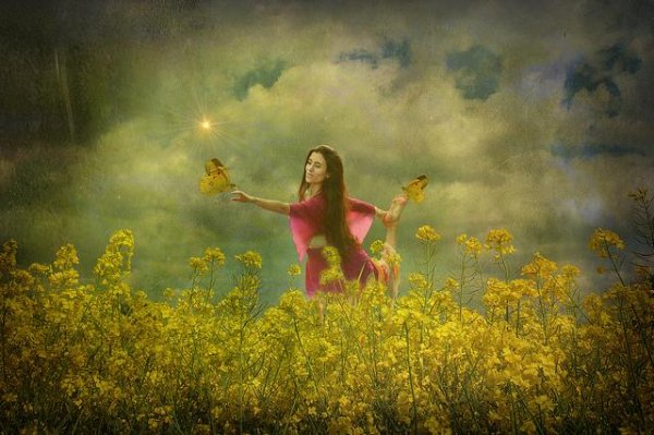 woman in field of flowers