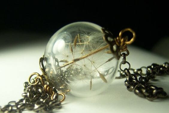 dandelion-in-a-glass-case