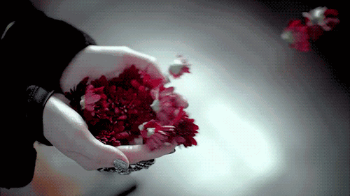 gif-red-flowers-blowing-in-the-wind