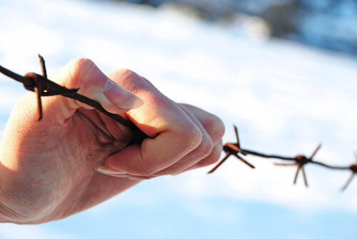 hanging-on-to-barbed-wire
