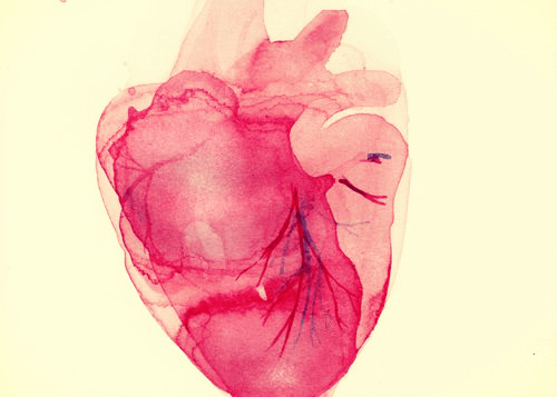 heart