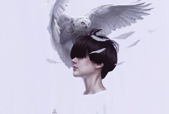 owl on head