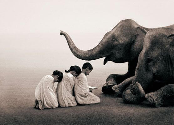 three-children-bowing-before-an-elephant