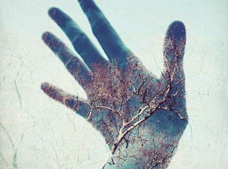 tree on hand