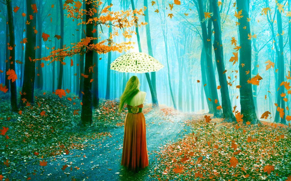 Walking in Woods Parasol