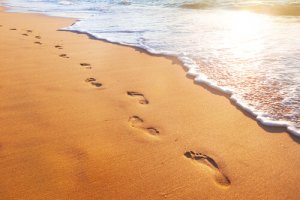 Intelligent People Learn From the Mistakes Others Make