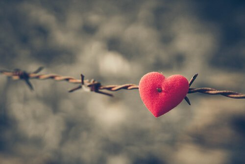 felt heart in barbed wire