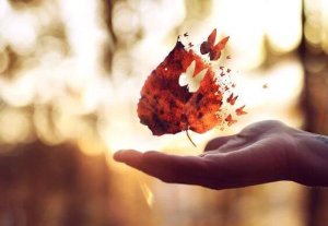 There Are Years to Ask Questions and Years to Find Answers