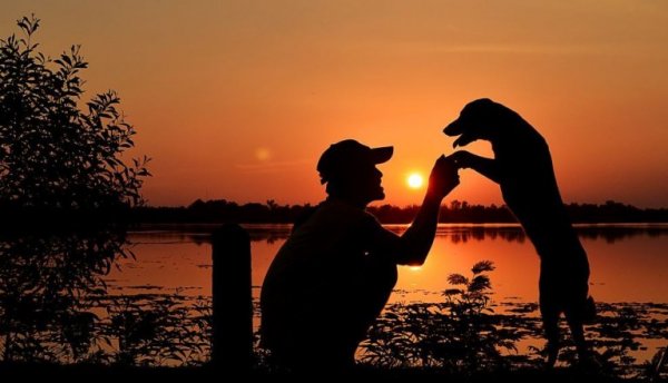 Mężczyzna i pies o zachodzie słońca