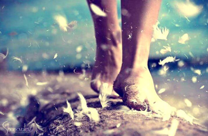 Feet Surrounded by Feathers