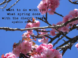 quote by pablo neruda