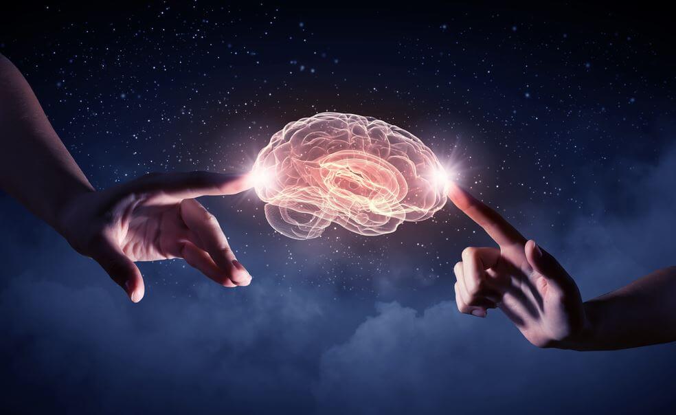 two hands touching a brain