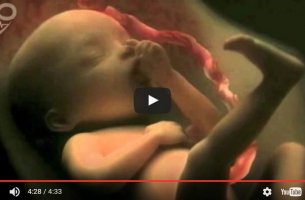 4 minute video of 9 months of pregnancy