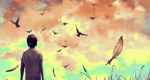 boy watching birds