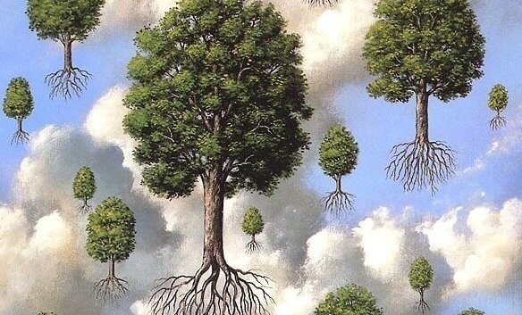 floating trees with roots