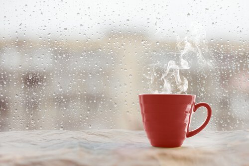 hot cup of tea and rainy windows