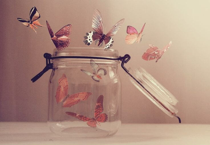 open jar full of butterflies