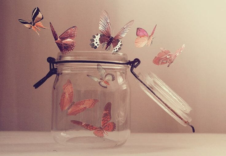 åpen krukke full av sommerfugler