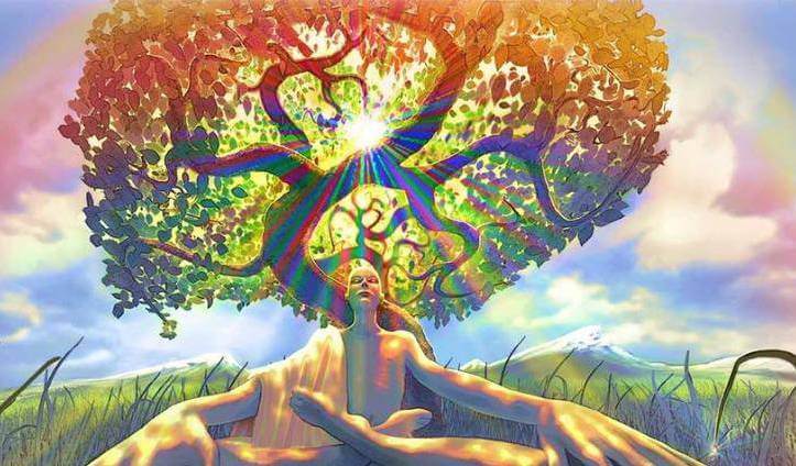 person sitting at the foot of a tree