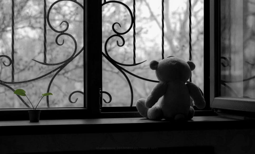 teddy bear on window sill