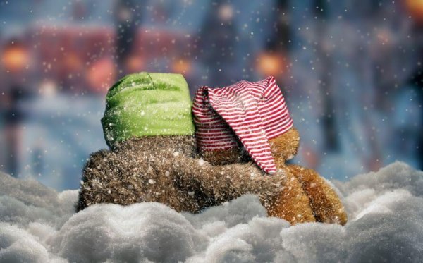 two stuffed animals in the snow