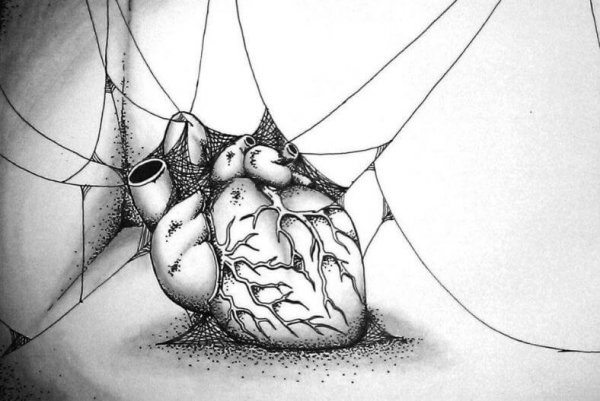 Some People Have a Hole Where Their Heart Should Be