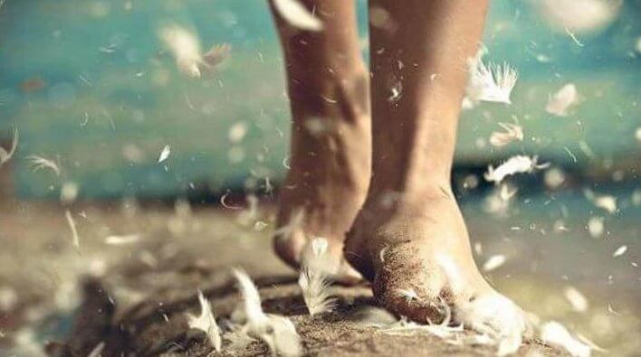 feet covered in feathers