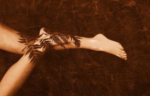 The Fern and the Bamboo: A Fable of Hope