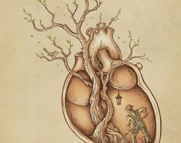 심장 나무
