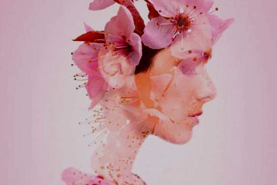 꽃