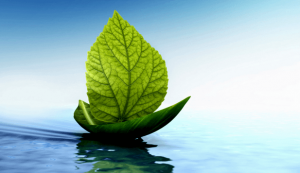 A Simple Technique to Ease Stress: Jacobson's Progressive Muscle Relaxation