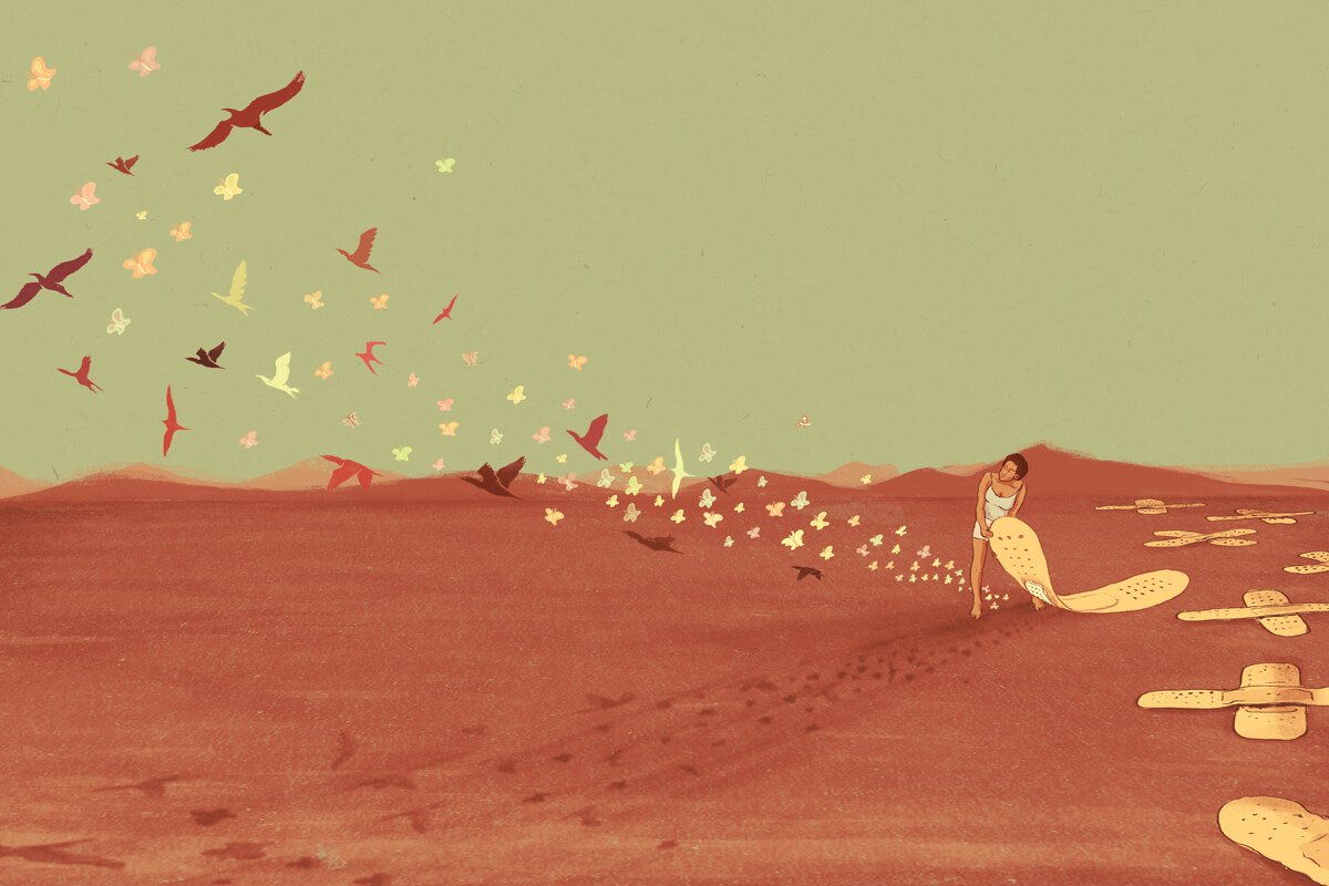 birds flying out of a bandaid