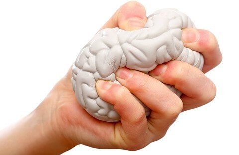 stress ball shaped like a brain