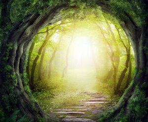 Everyone Has a Refuge to Hide from the Storm