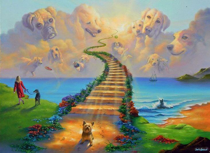 The Legend of Rainbow Bridge, the Resting Place for Our Pets