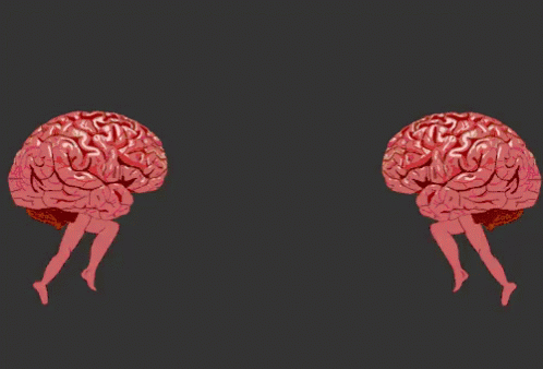 A gif of two brains running at each other and colliding.