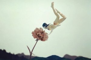 Learn to Apologize Efficiently