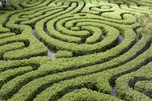 maze