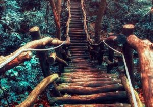 Move and the Right Life Path Will Appear